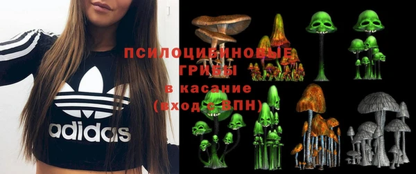 спайс Абинск