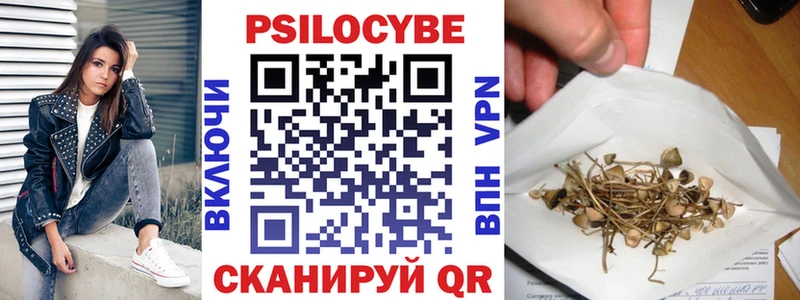 Псилоцибиновые грибы ЛСД  даркнет сайт  Новокубанск 